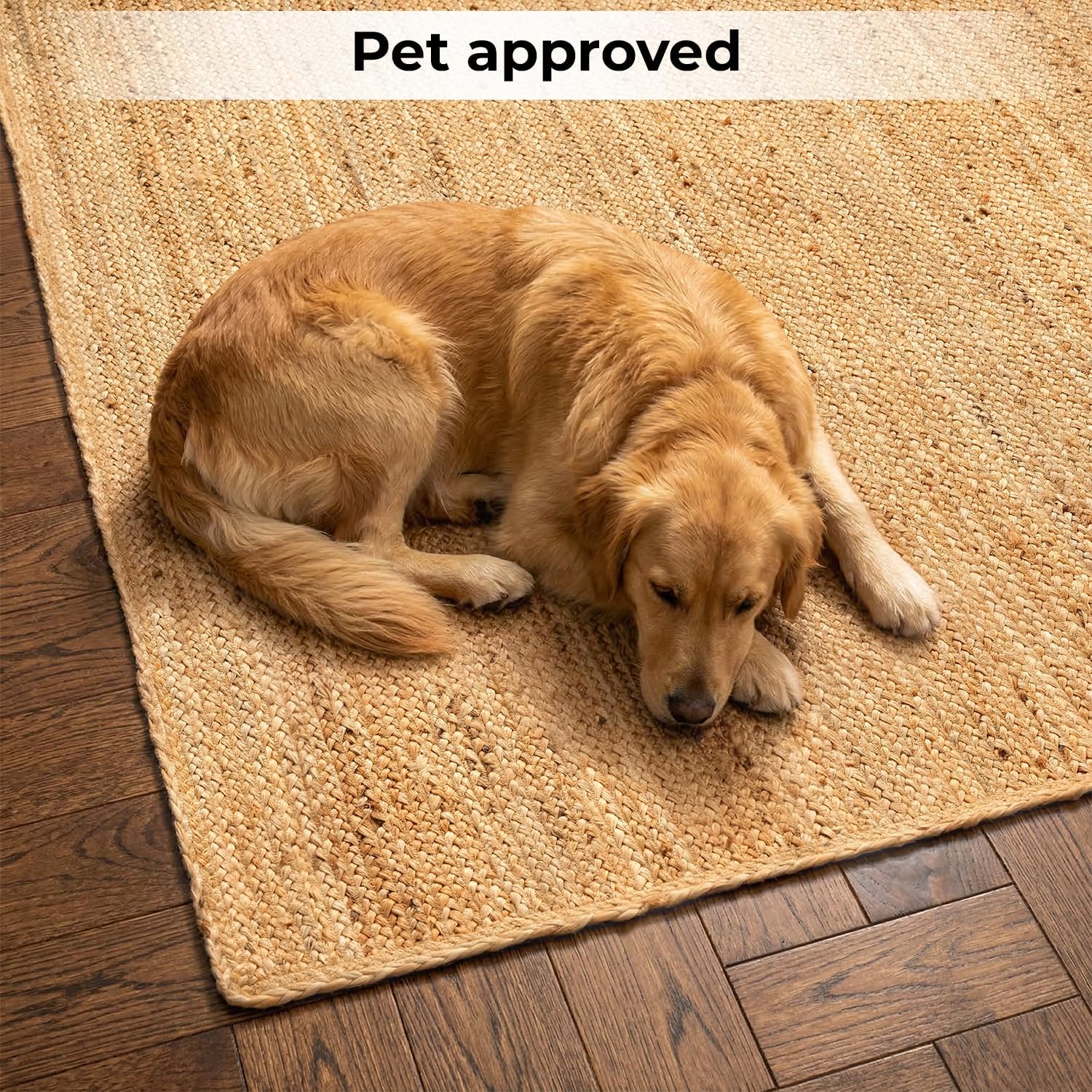Skotor Living Jute Area Rug