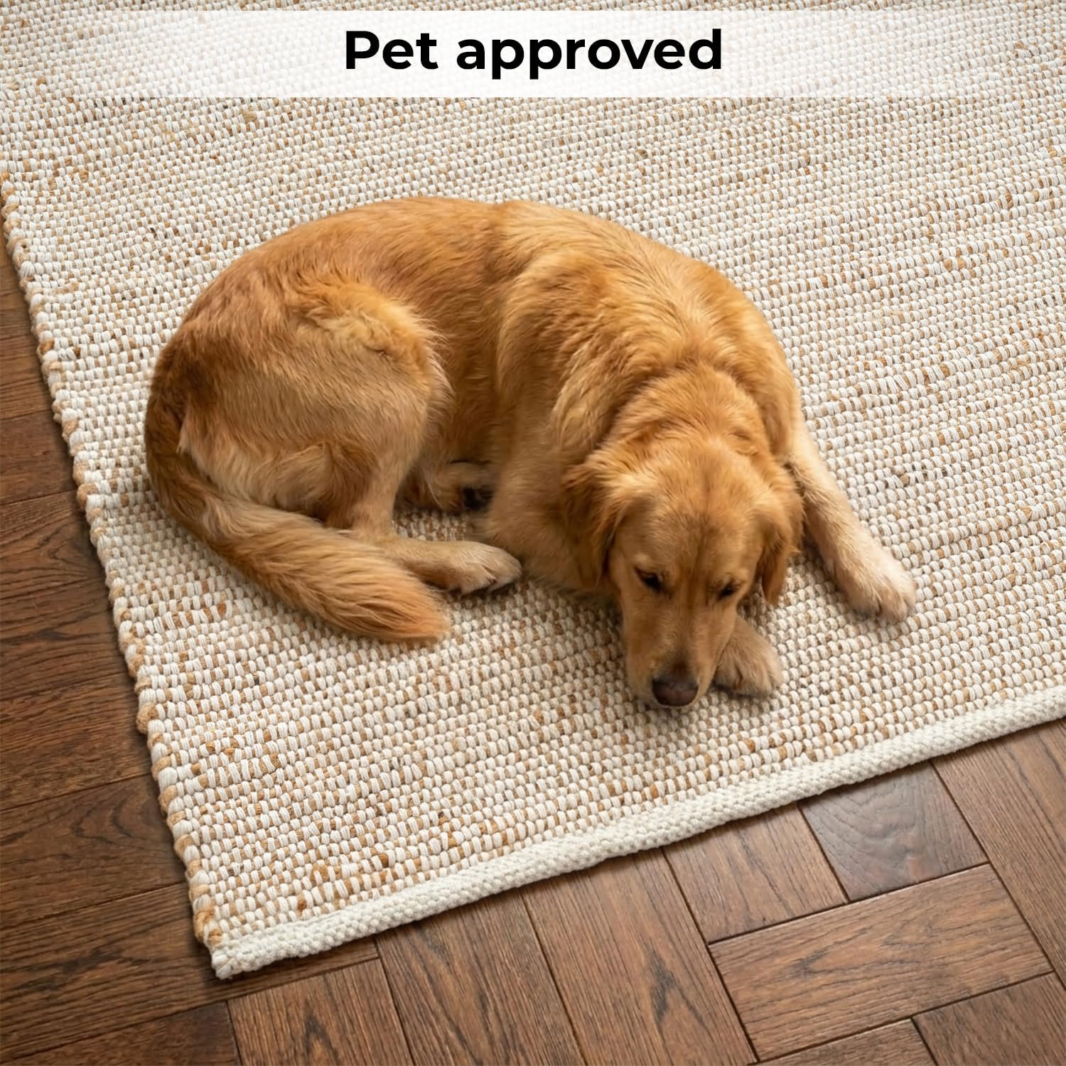 Skotor Living Jute Cotton Area Rug